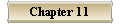  Chapter 11 