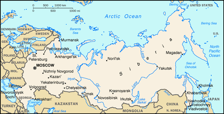 ethnic groups  russian 81 5