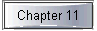  Chapter 11 